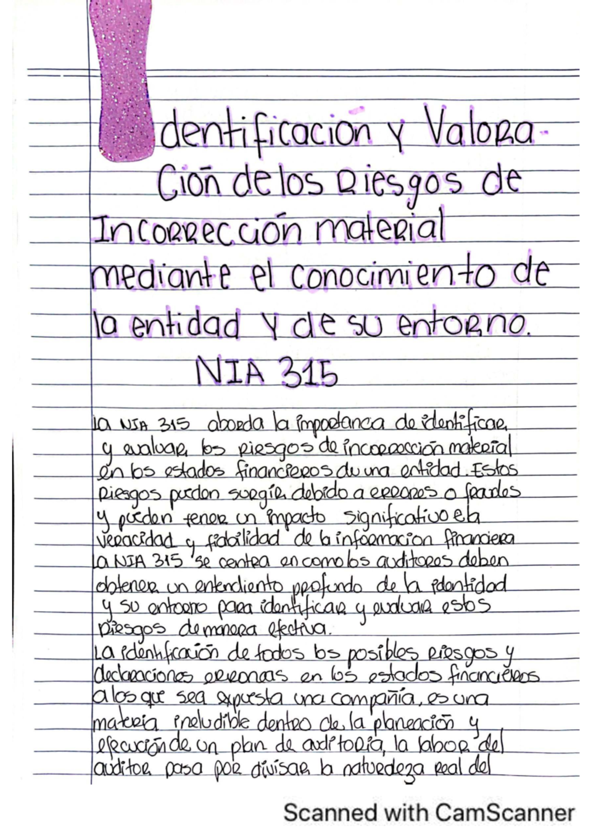 NIA 315 Darling Alondra Castillo Carnet 202109830 - dentificacion Y ...