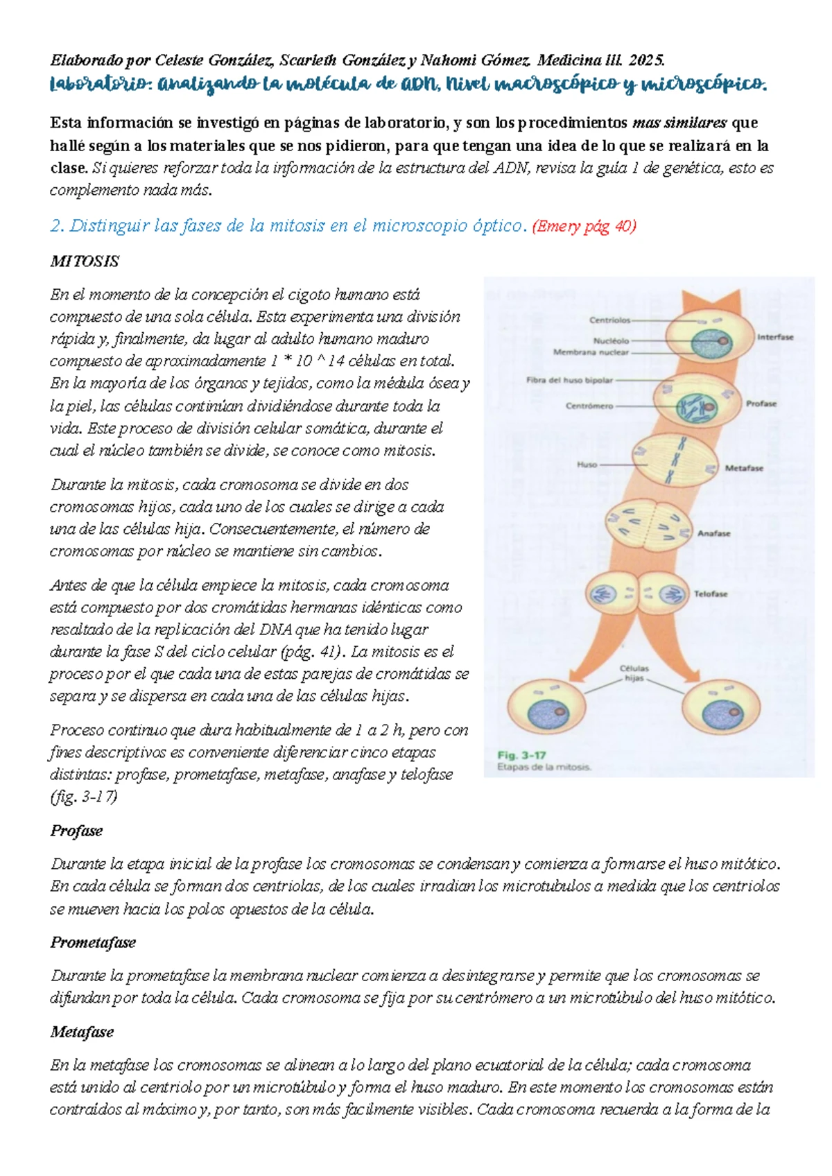 Manipulacion de ADN CCDB dominar tecnicas de manipulacion de ADN -  FasterCapital, image size:1200x1696