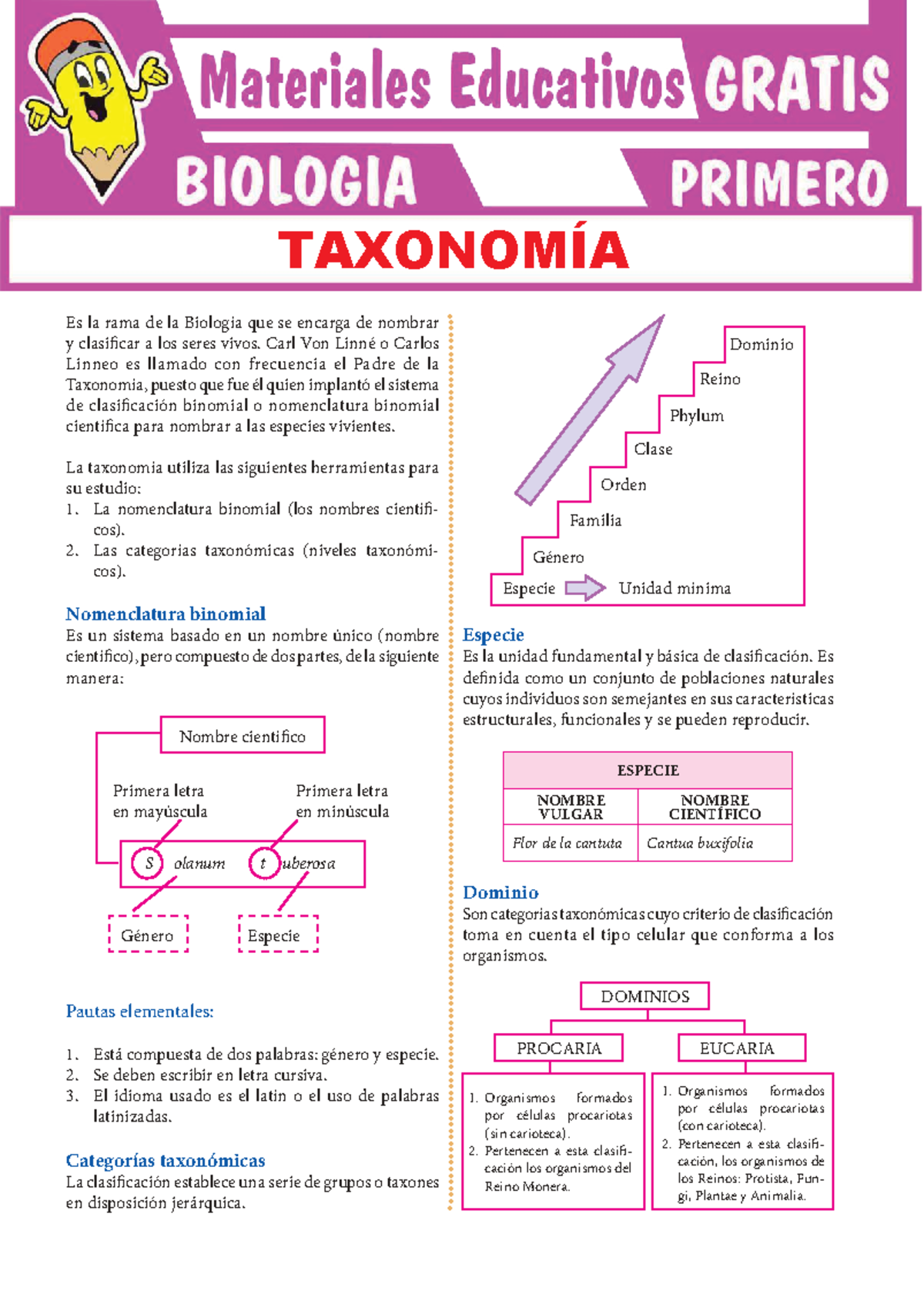 Clasificación de los Seres Vivos - Taxonomía 1º Secundaria - Studocu