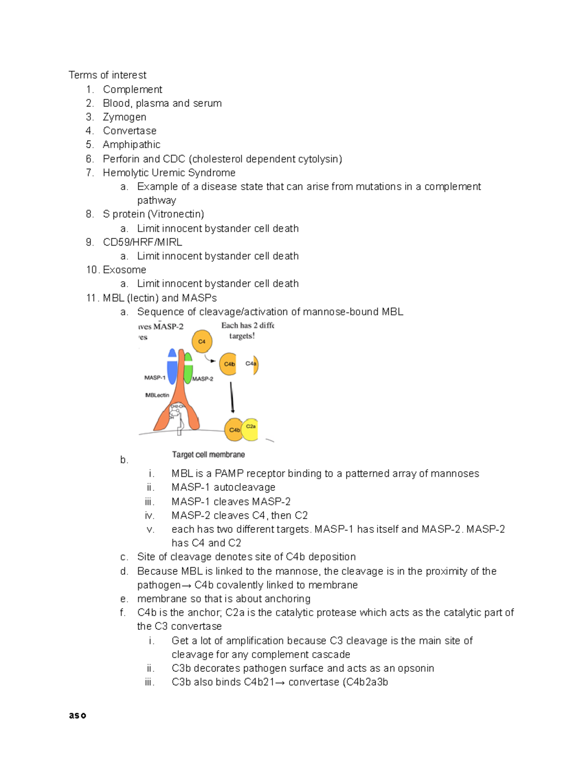 Immunology Exam 2 Study Notes: Key Concepts and Terms - Studocu