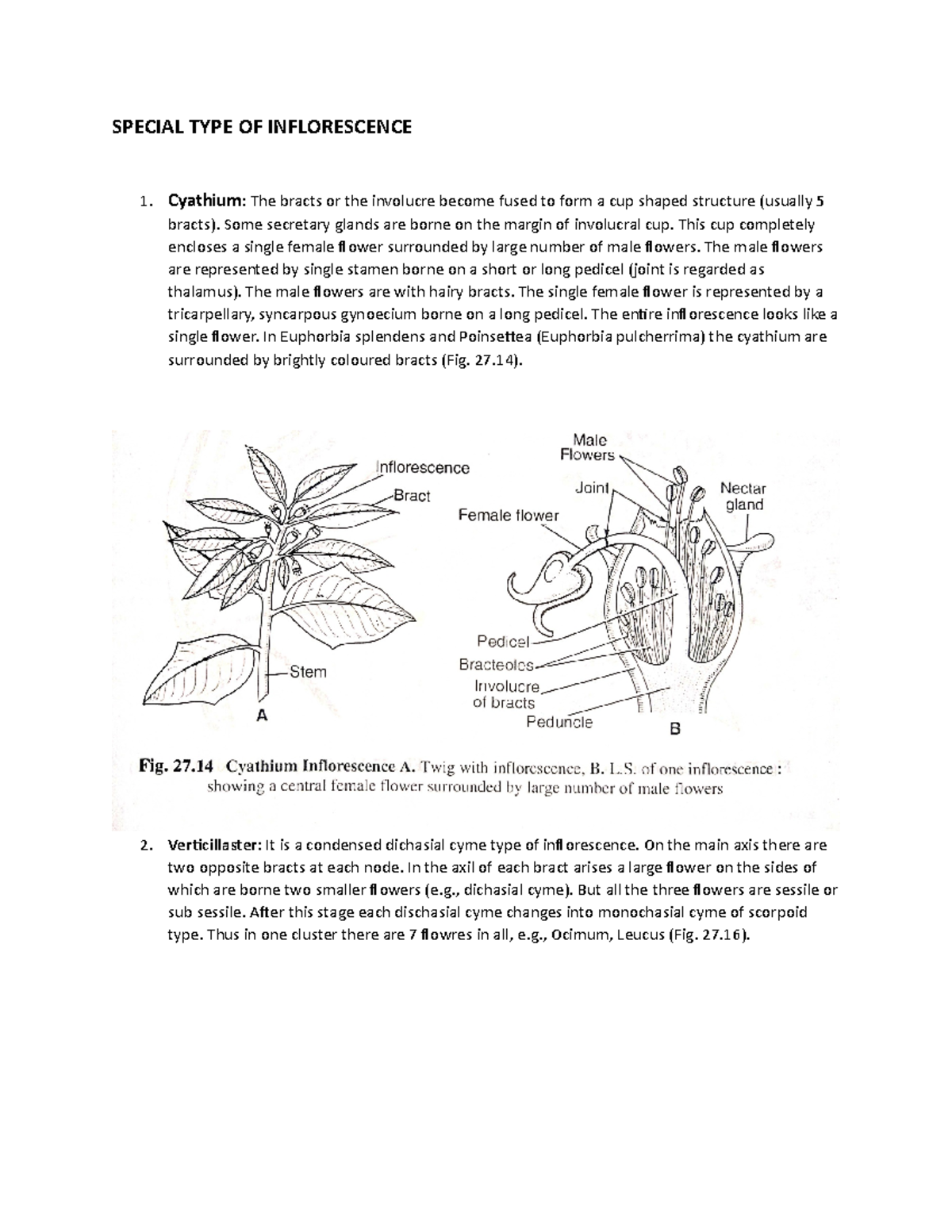 Special Type of inflorescence - SPECIAL TYPE OF INFLORESCENCE 1 ...