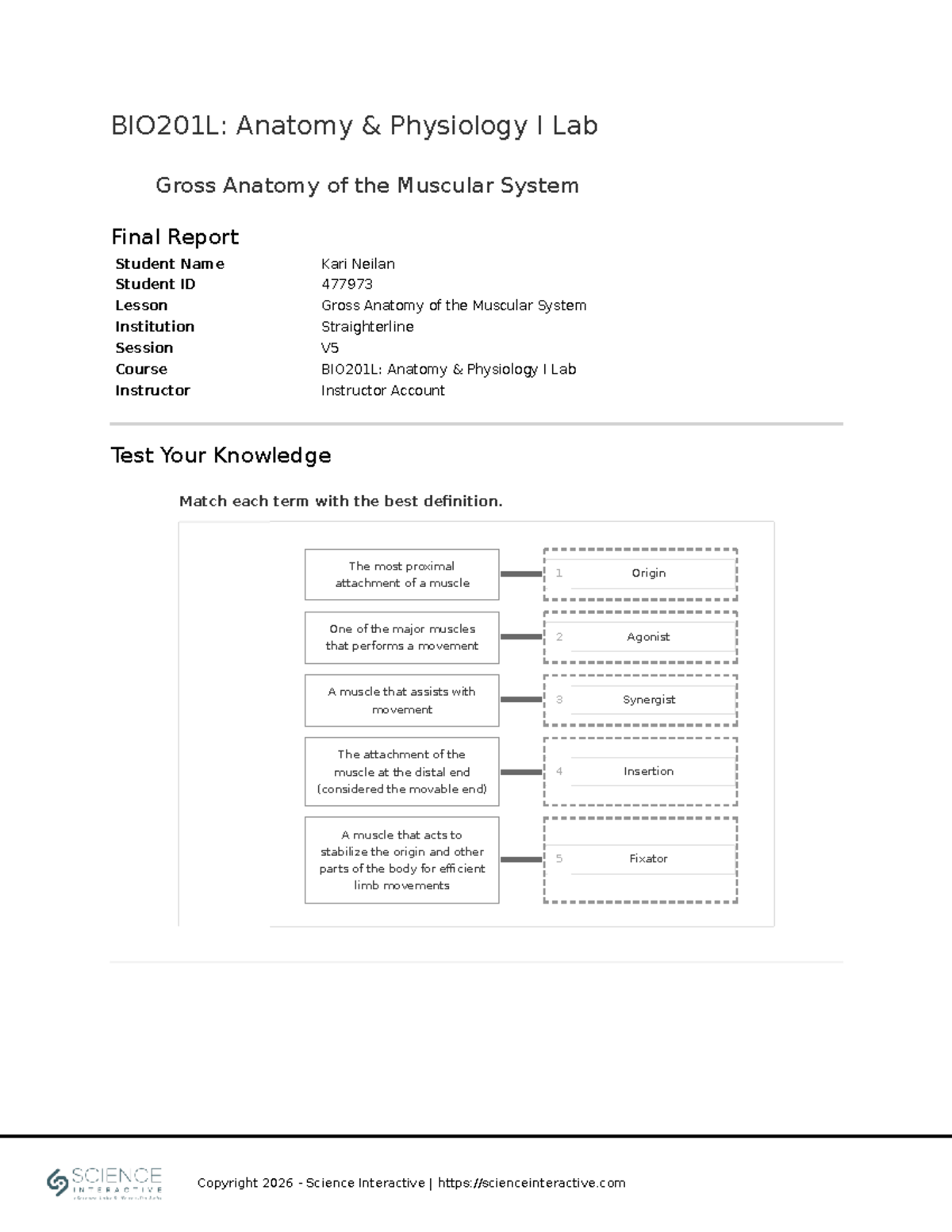 BIO201L: Final Report on Gross Anatomy of the Muscular System - Studocu