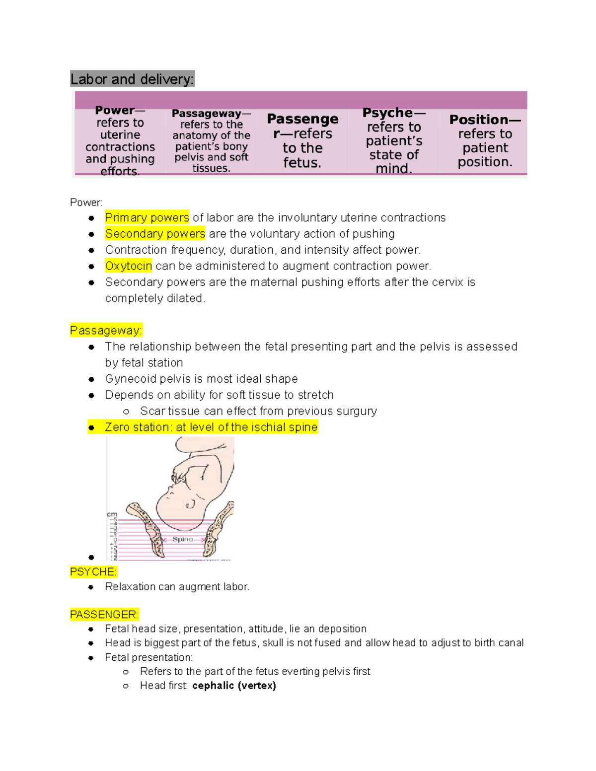 Labor and Delivery: Comprehensive Notes on Powers, Passageway, and ...