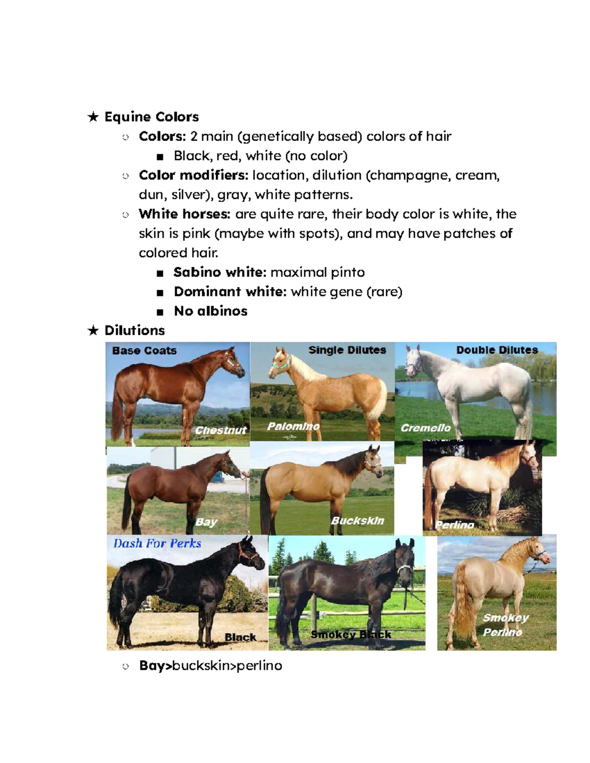 ANS 110: Overview of Equine Hair Colors and Patterns - Studocu
