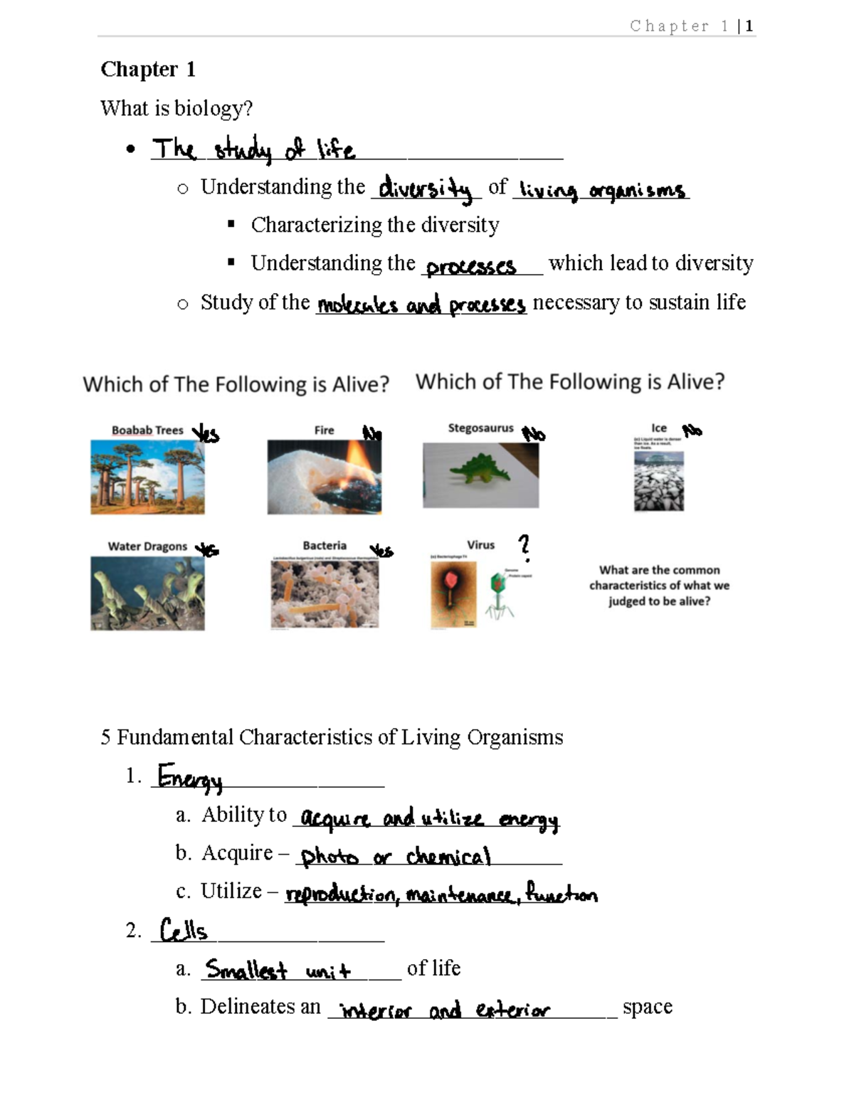 Chapter 1 Notes - Chapter 1 What is biology ...