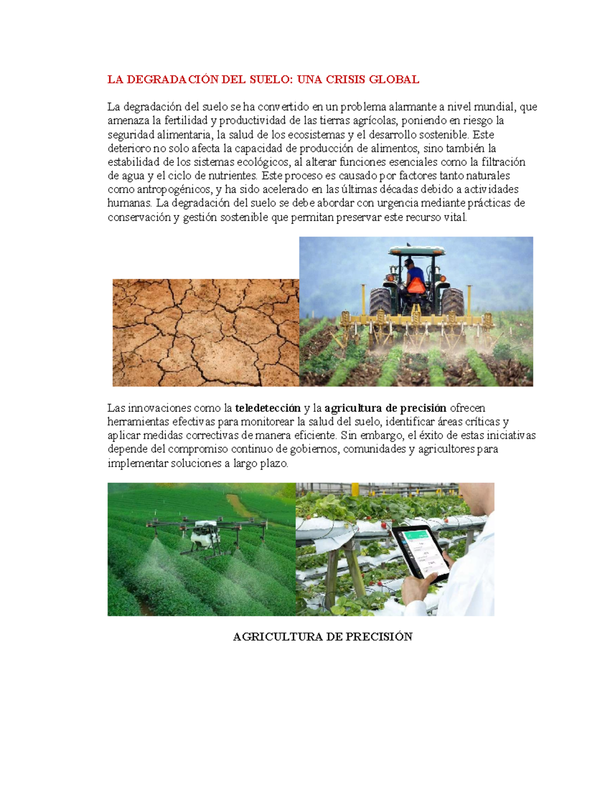 La degradación del suelo manejo teoria - LA DEGRADACIÓN DEL SUELO: UNA ...
