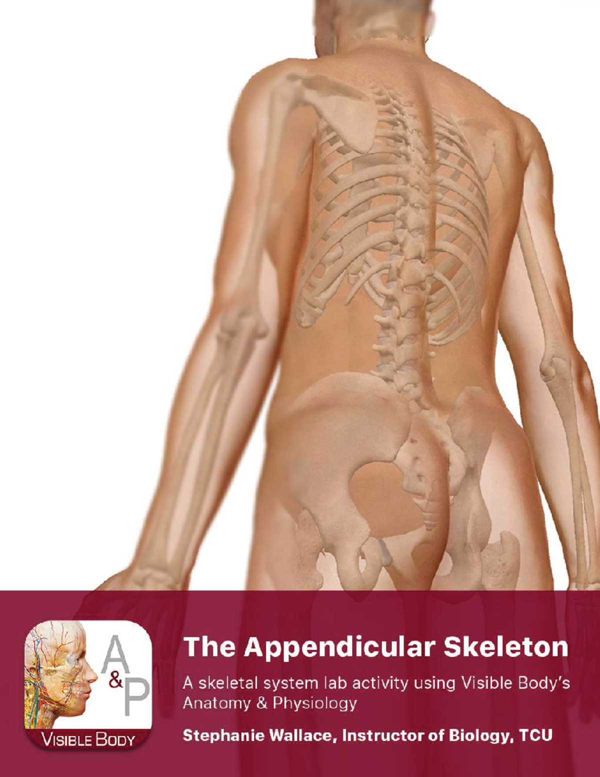 Lab Manual: Appendicular Skeleton A&P Exercises - Studocu