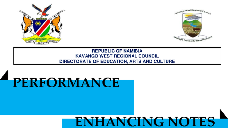 Accounting Grade 9 Performance Enhancing Notes - Kavango West Region - Document Preview
