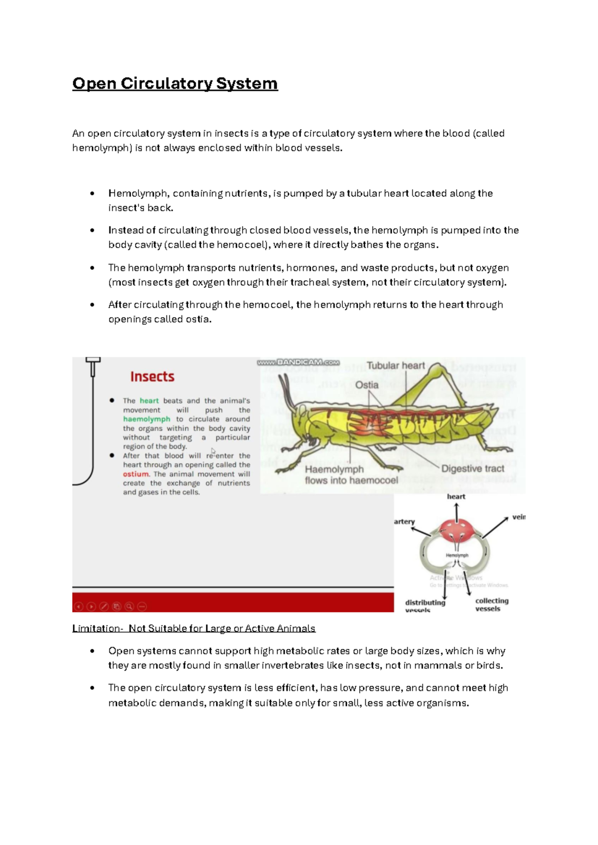 Open Circulatory System vs Closed Circulatory System: A Comparative ...