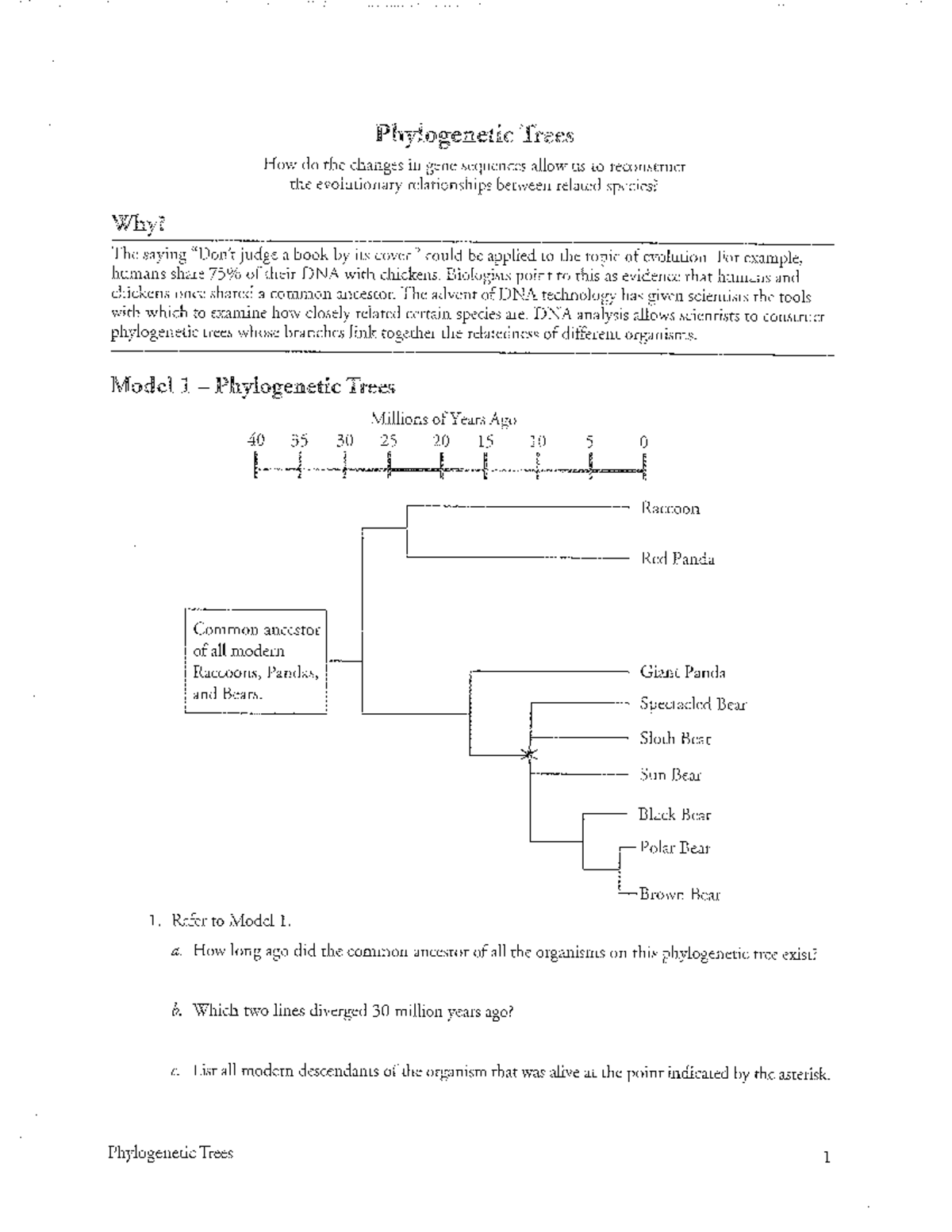 Biology 12: Phylogenetic Trees and Evolutionary Relationships - Studocu