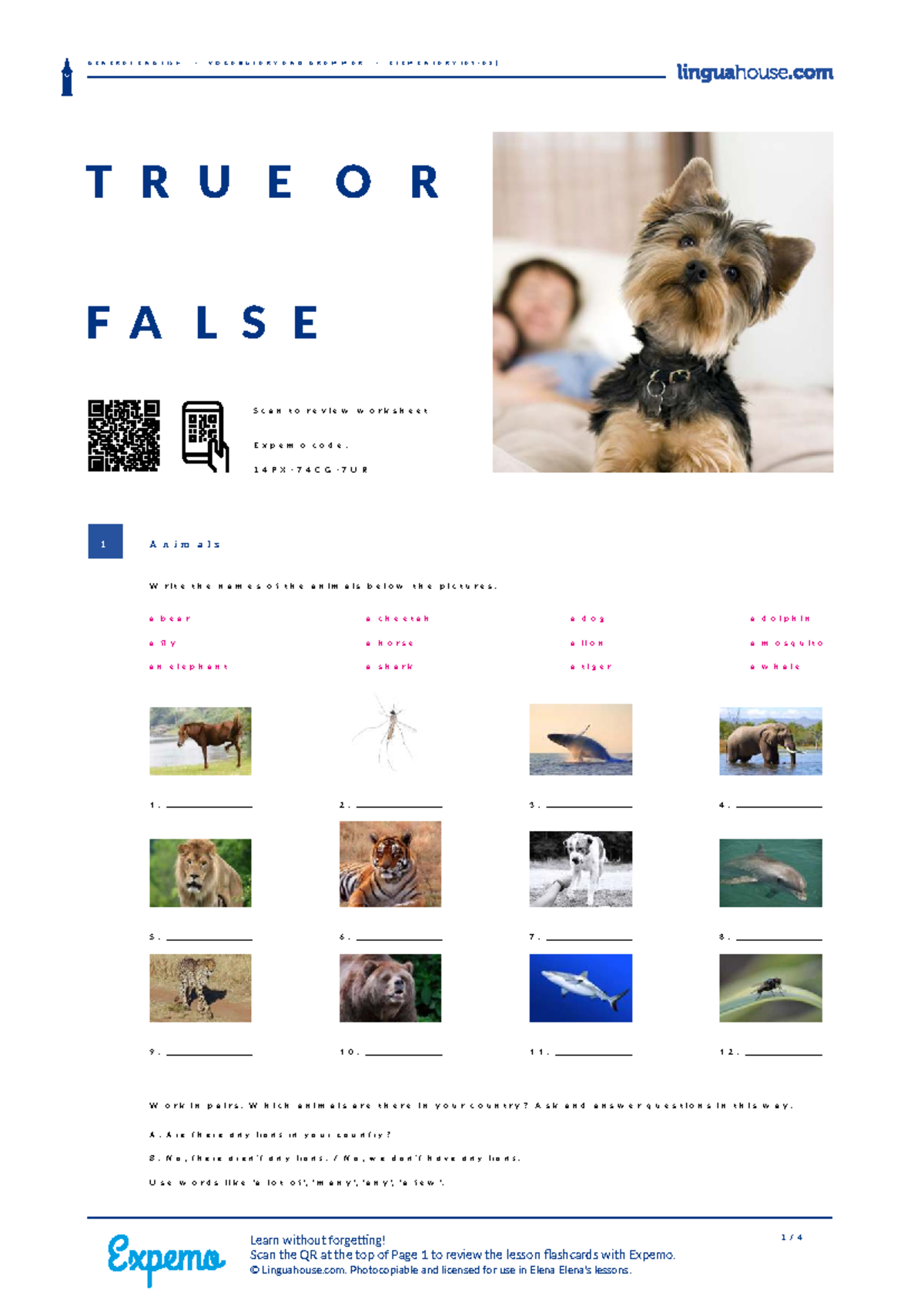 Animals True or False Comparison A1-A2 Worksheet - Studocu