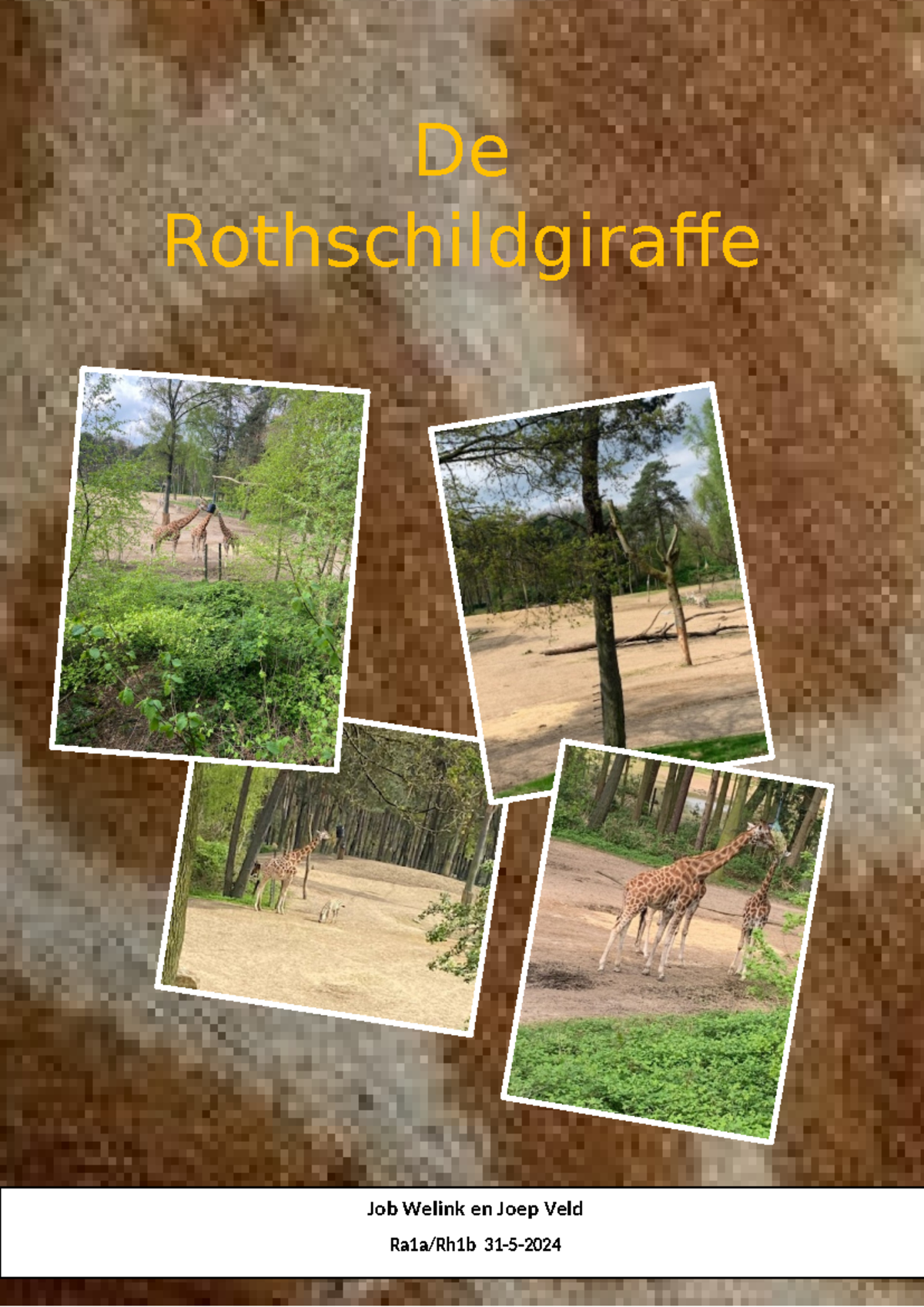 Rothschildgiraffe: Inleiding en Feiten (Ra1a/Rh1b) - Studeersnel