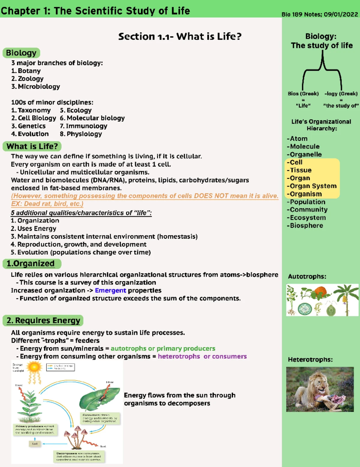 Biology 189 Chapter 1: Experimental Design and Scientific Method Notes ...