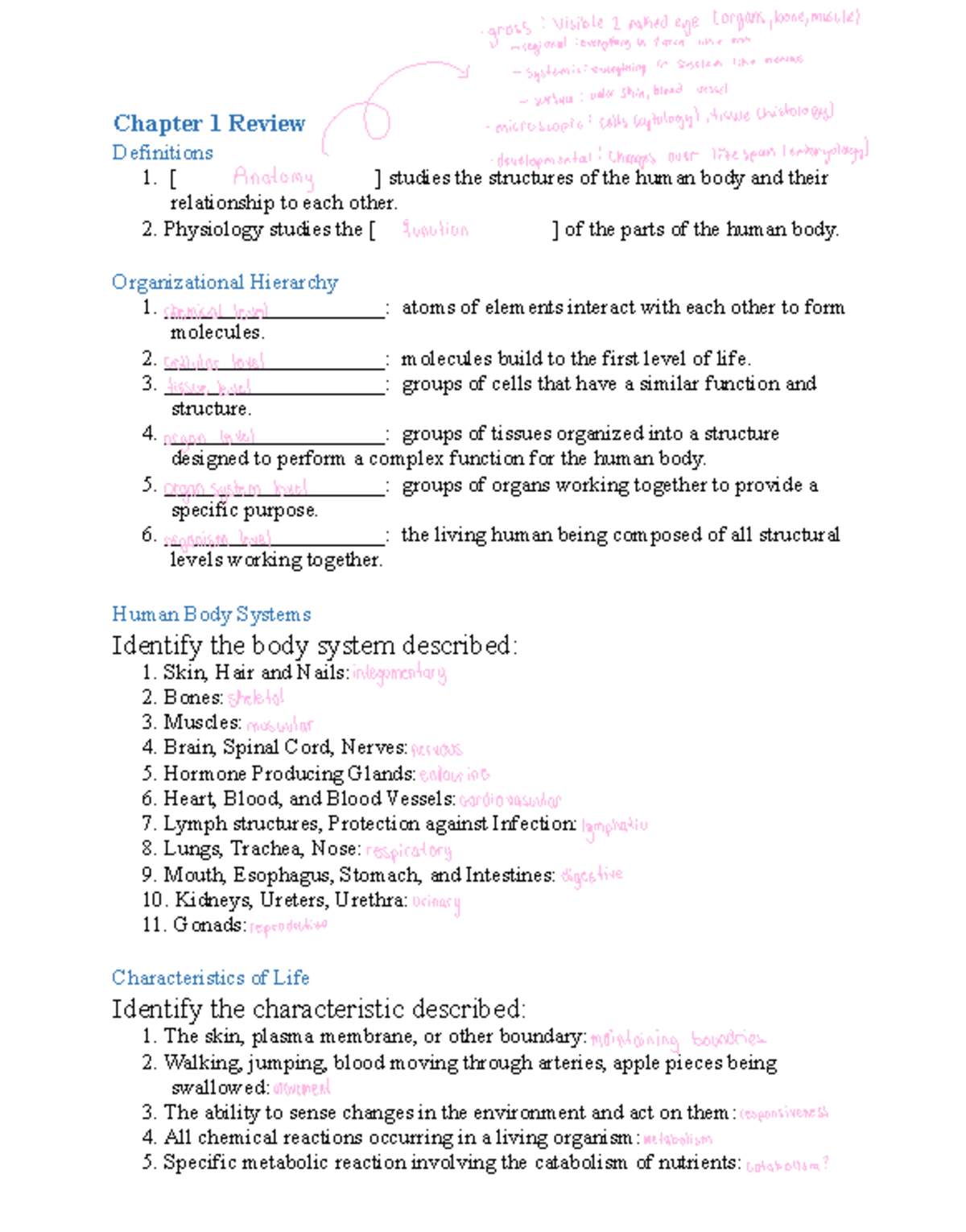 Anatomy and Physiology (BIO101) Chapter 1 Concepts Review - Studocu