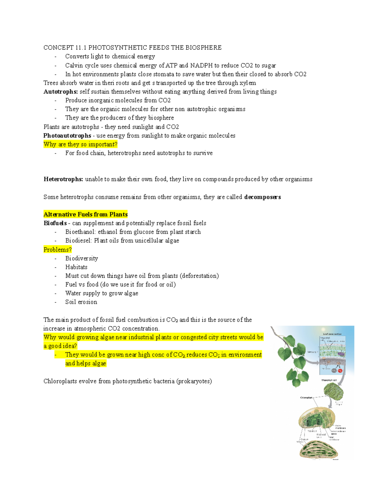 Chapter 11 - Photosynthetic Processes - CONCEPT 11 PHOTOSYNTHETIC FEEDS ...