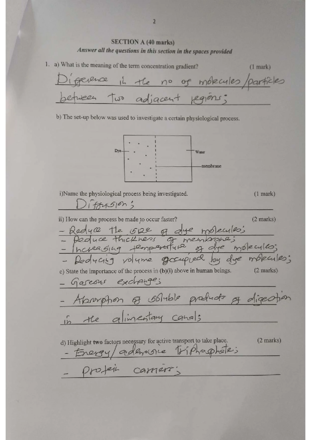 MARANDA HIGH SCHOOL KCSE 2024 Biology Paper 2 Exam Guide - Studocu