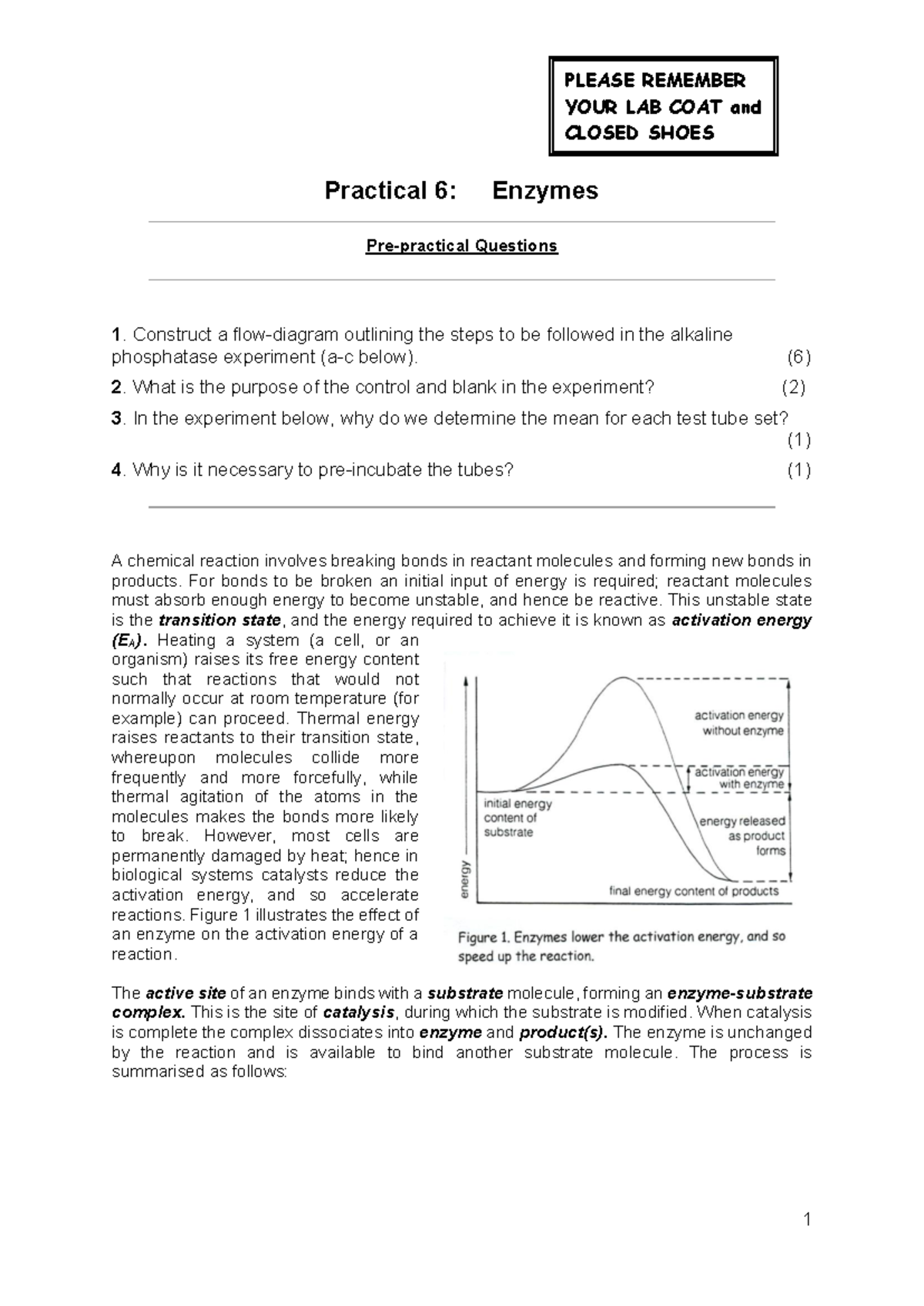 BIO1000 F Practical 6, 7 & 8: Enzymes, Photosynthesis & Fermentation ...
