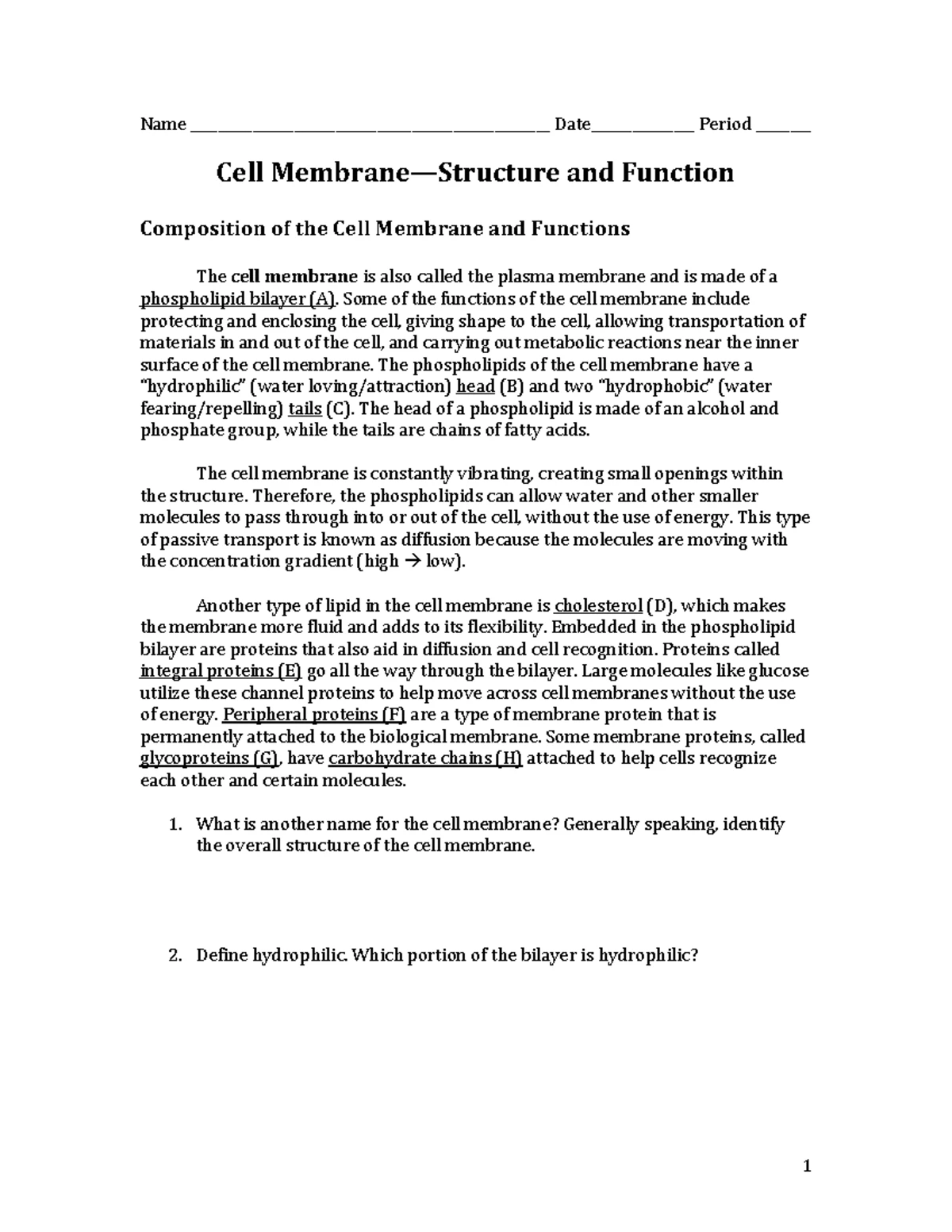 Cell Bio Lab Worksheet: Onion & Cheek Cell Observation - Studocu