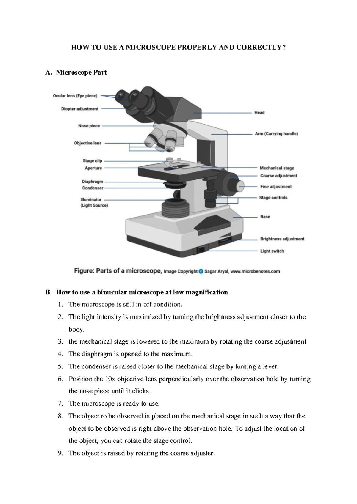 Using a Microscope: Proper Techniques for Effective Observations - Studocu