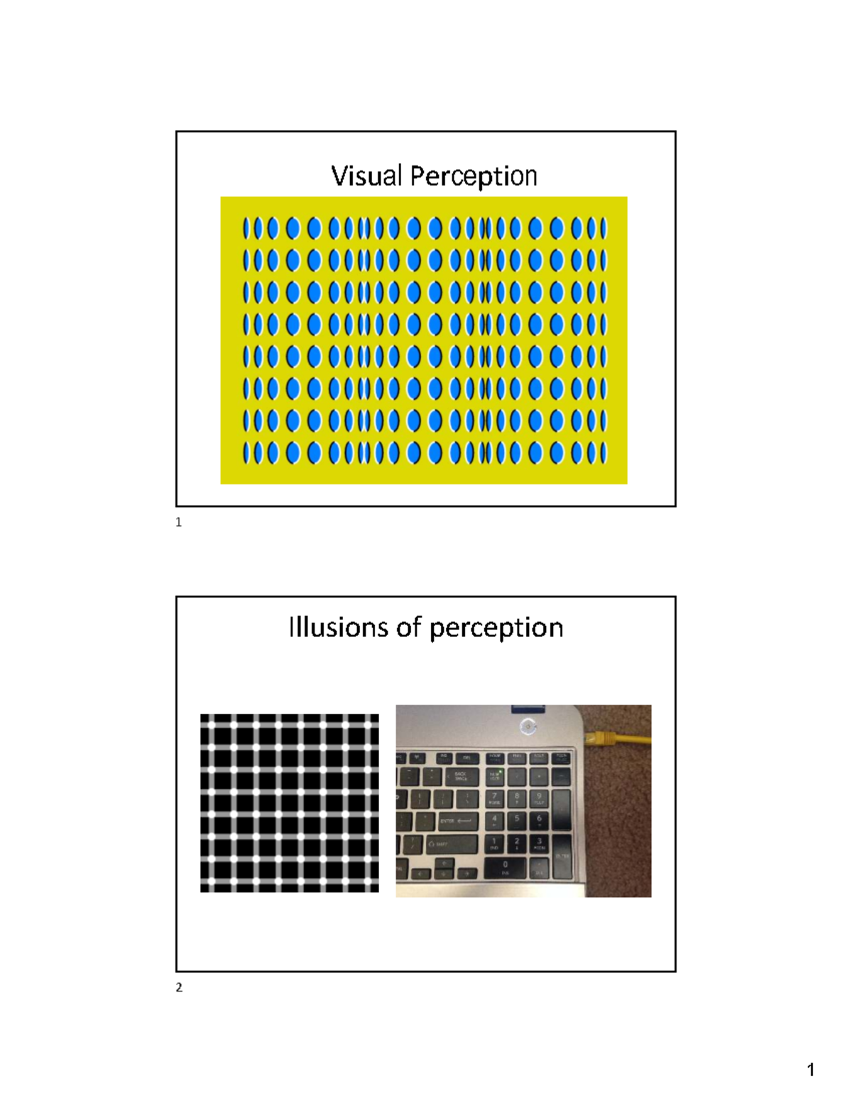 Visual Perception 1: Insights into Illusions & Gestalt Principles - Studocu