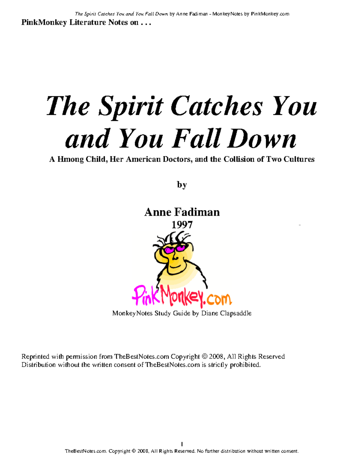 The Spirit Catches You and You Fall Down: Summary & Analysis