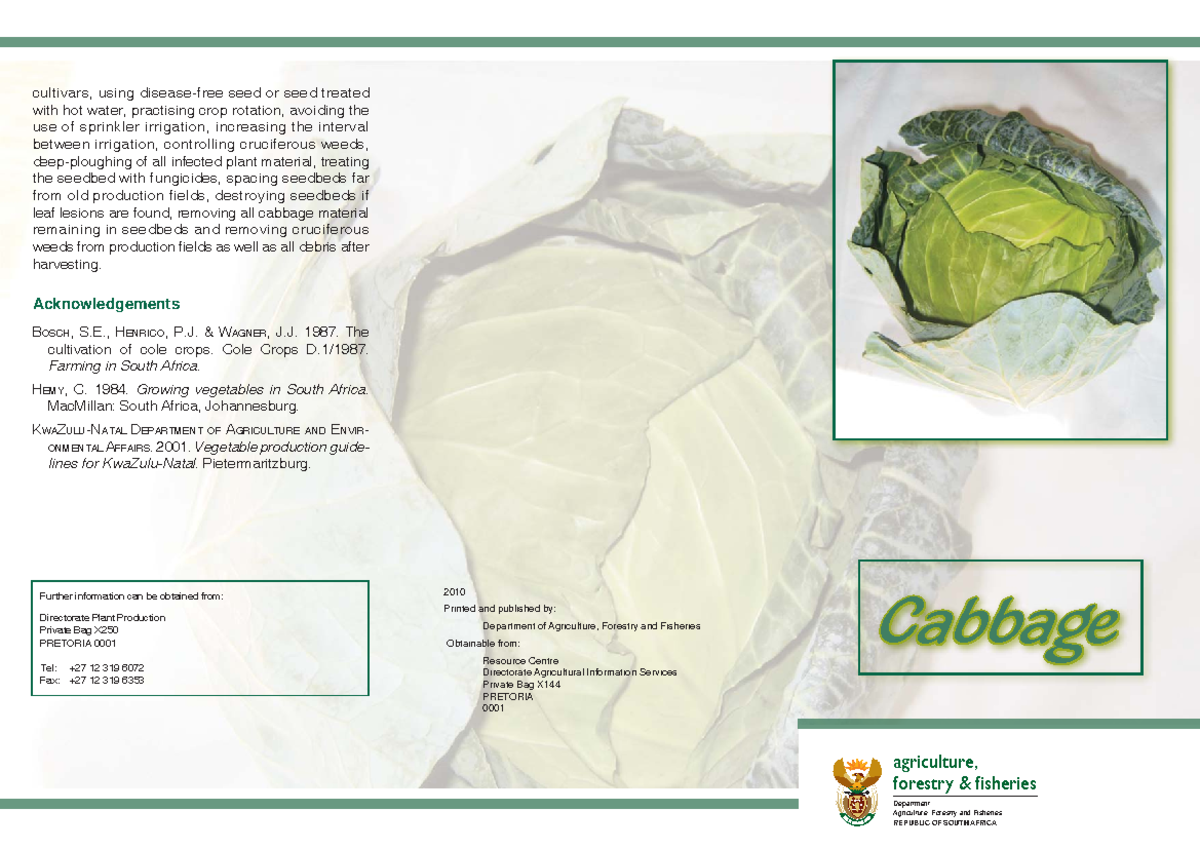 CABB 101 - Lecture Notes on Cabbage Cultivation and Practices - Studocu