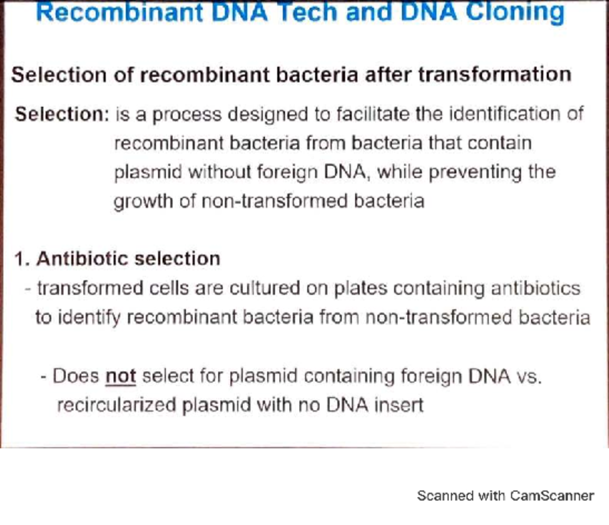 Biotech Exam 2: Selection of Recombinant Bacteria and Gene Cloning ...