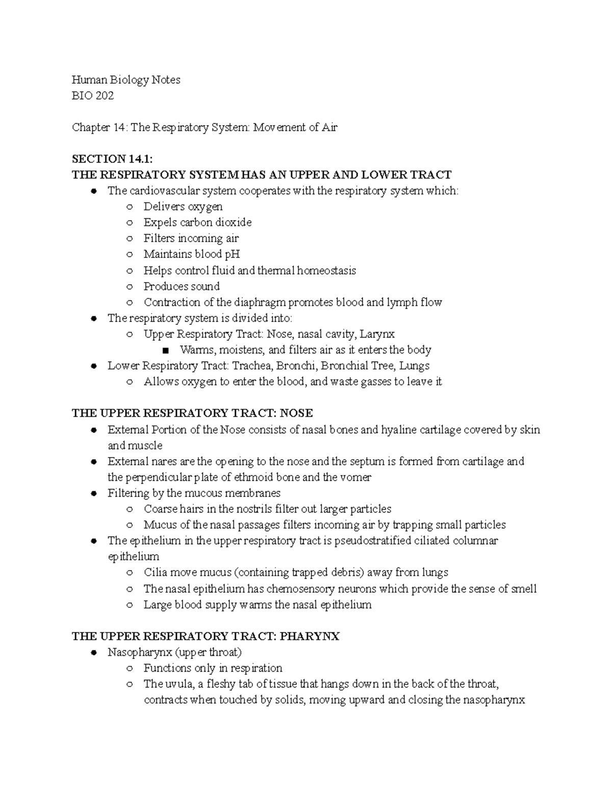 BIO 202 Chapter 14: Detailed Notes on the Respiratory System - Studocu