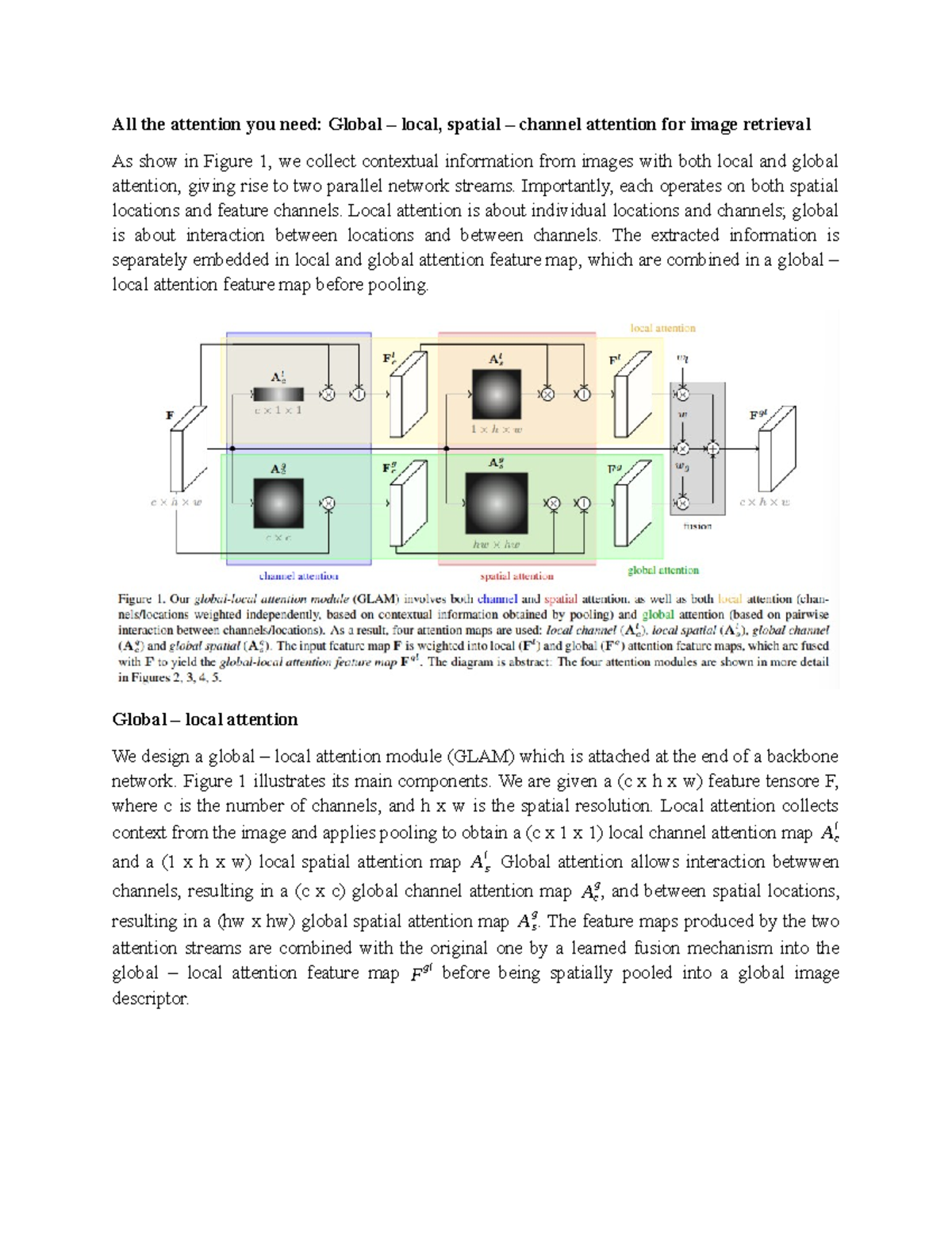 All the attention you need - Global-local, spatial-channel attention ...