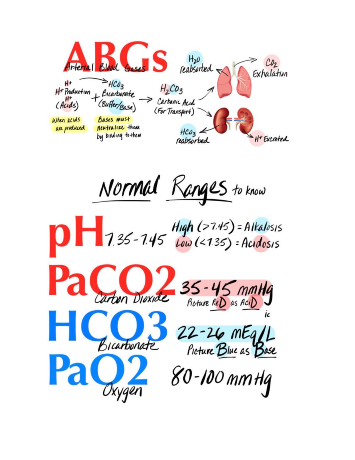 ABG Cheat Sheet for Arterial Blood Gases - Summary & Values - Studocu