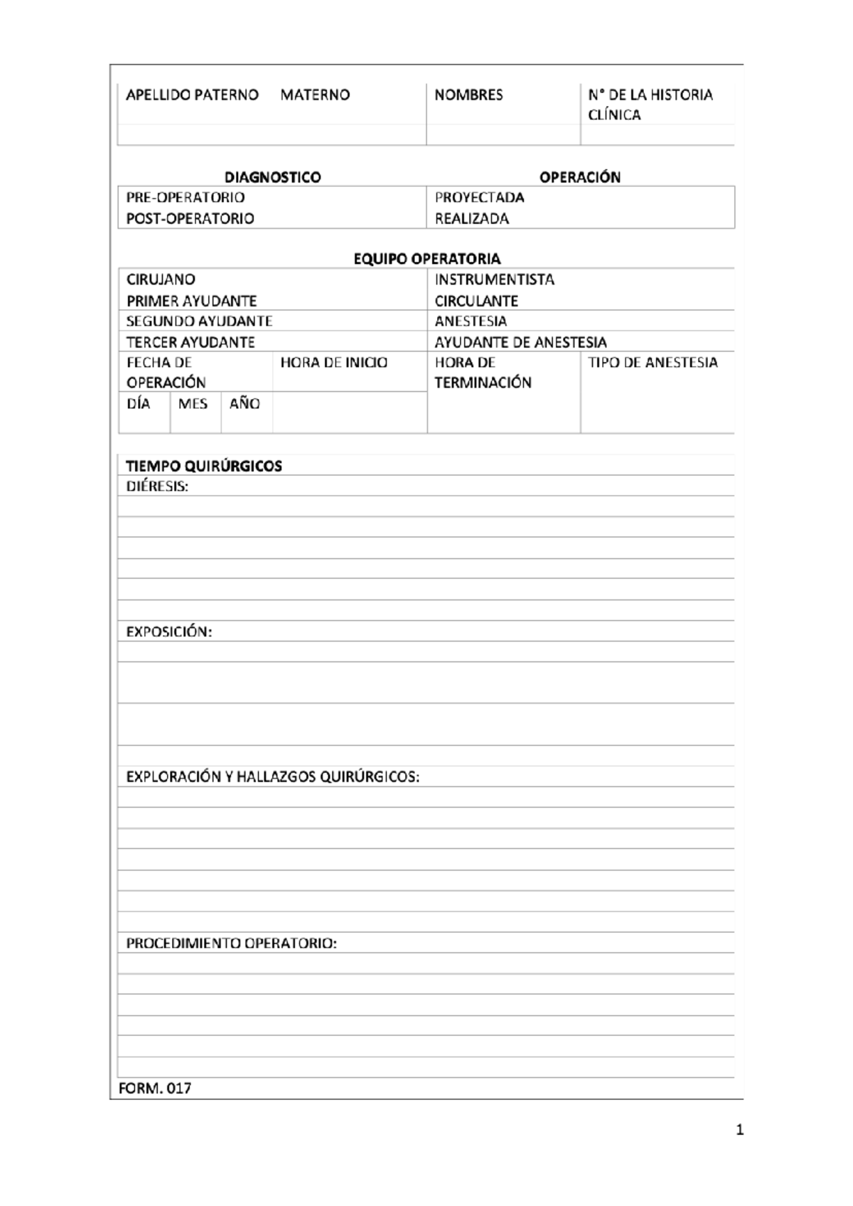 Formato Protocolo Operatorio - Document Preview