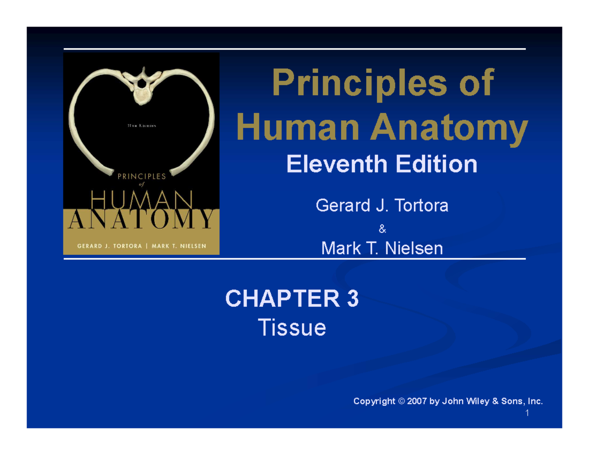 Chapter 3: Tissue - Principles of Human Anatomy - Studocu