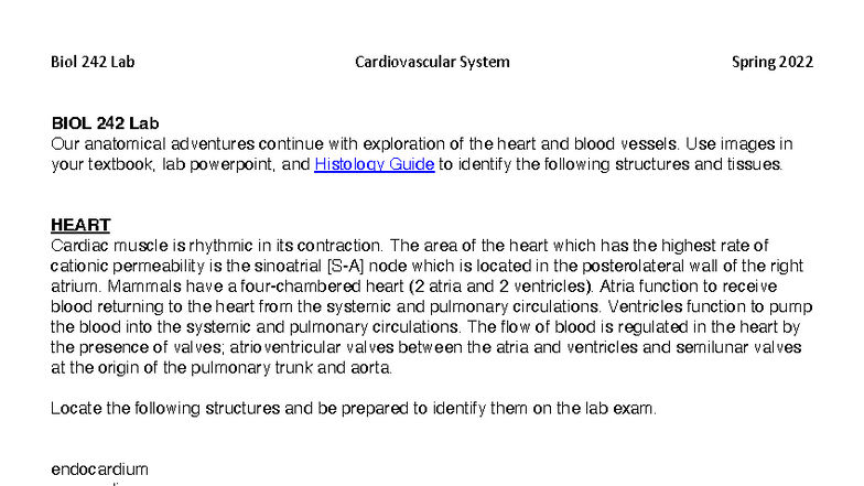 BIOL 242 Unit 2 Lab Handout: Heart & Blood Vessels Anatomy - Studocu