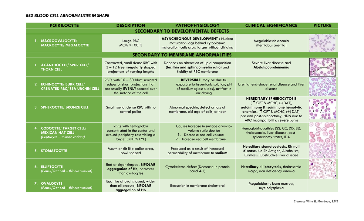 RBC Abnormalities in Shape: Clinical Significance & Pathophysiology ...