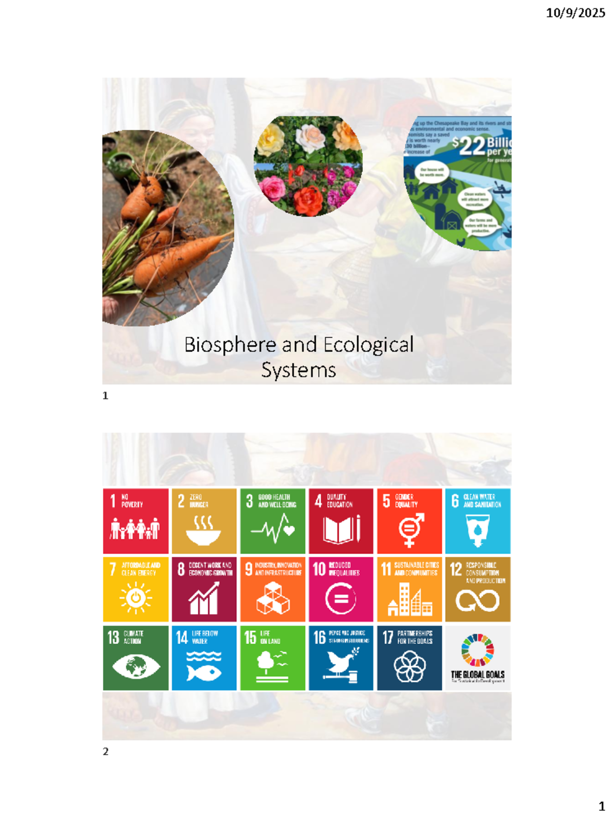 Biosphere and Ecological Systems 06: Ecological Services & Biodiversity ...