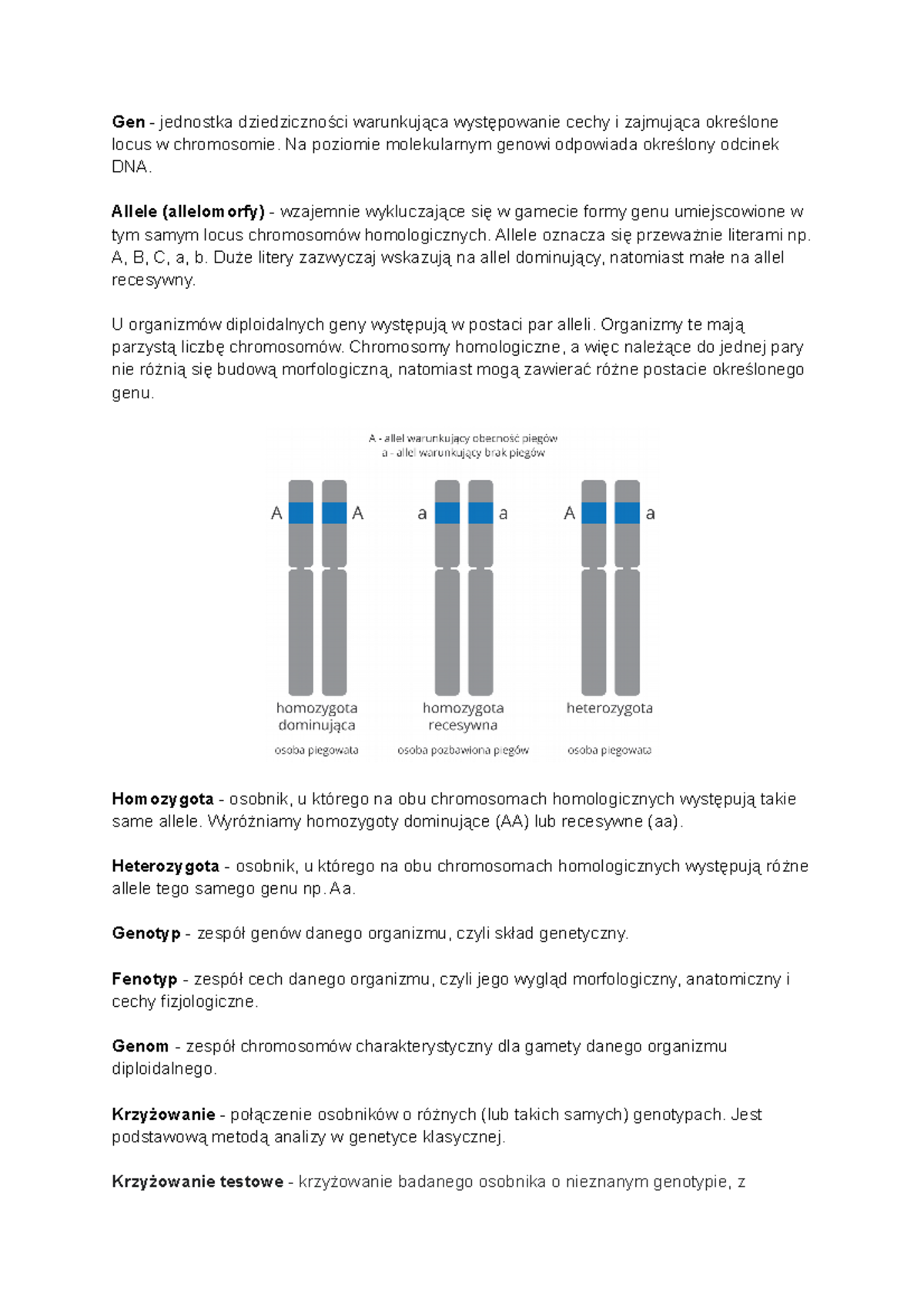 Sprawdzian Z Genetyczne Od Genu Do Cechy www.studocu.com