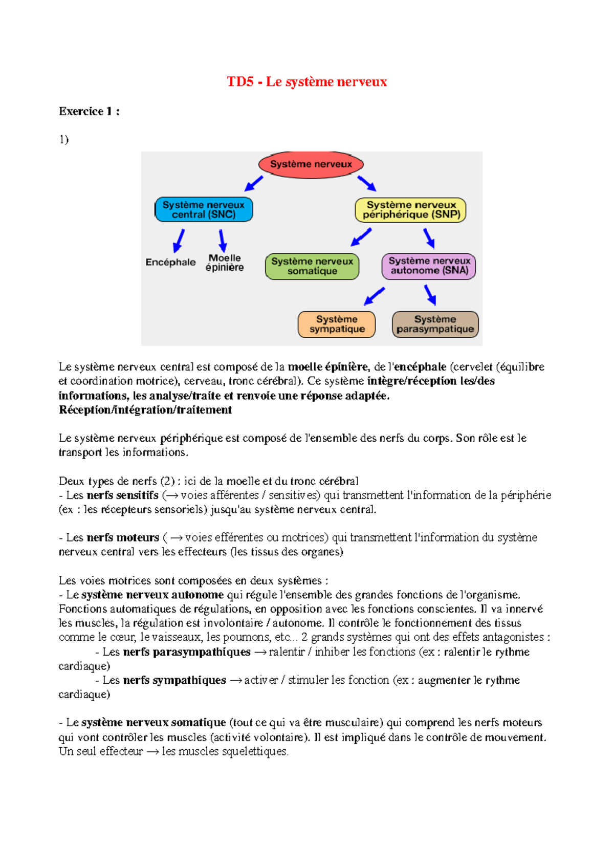 TD5 - Notes de Cours sur le Système Nerveux et ses Fonctions - Studocu