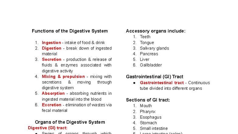 Digestive System Functions and Anatomy Review (BIO 101) - Studocu