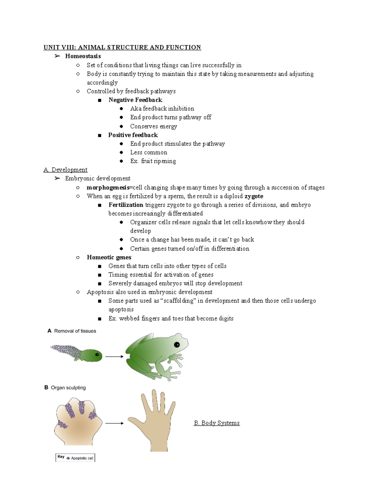 Unit 7 - ................ - UNIT VIII: ANIMAL STRUCTURE AND FUNCTION ...