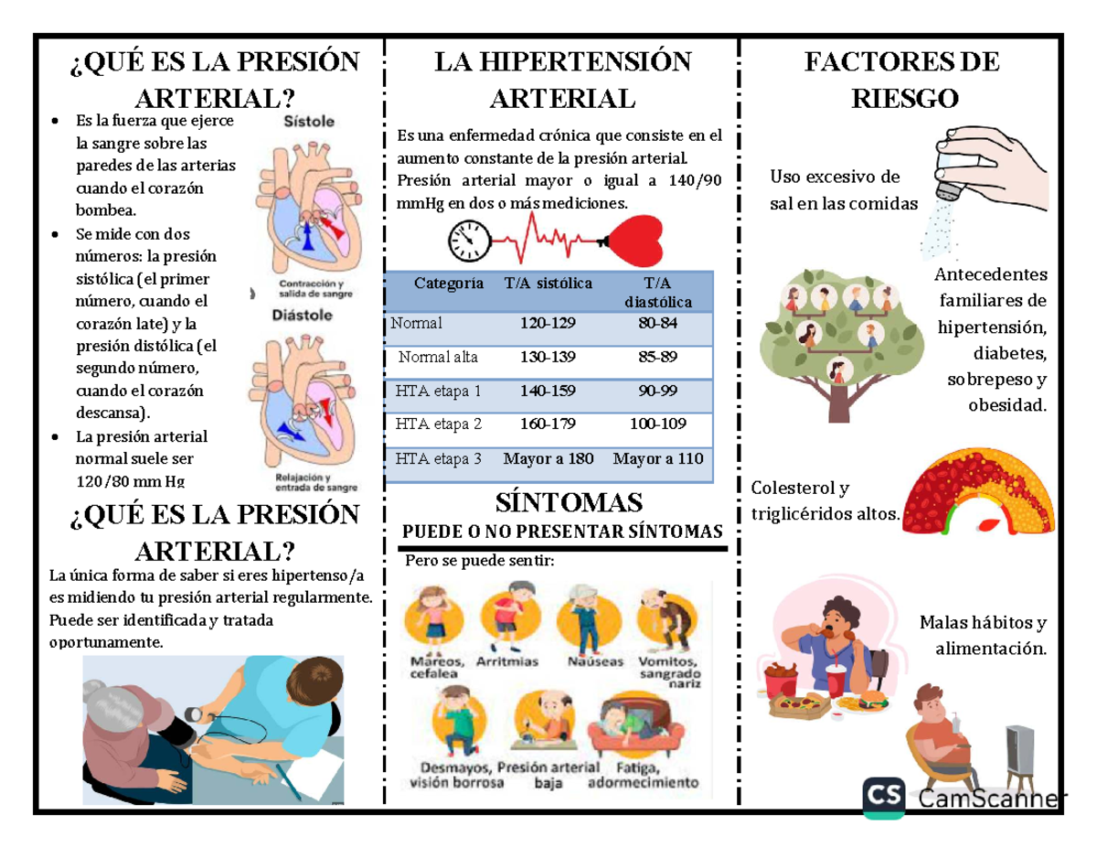 Folleto sobre HTA: Comprendiendo la Presión Arterial y sus Riesgos - Document Preview