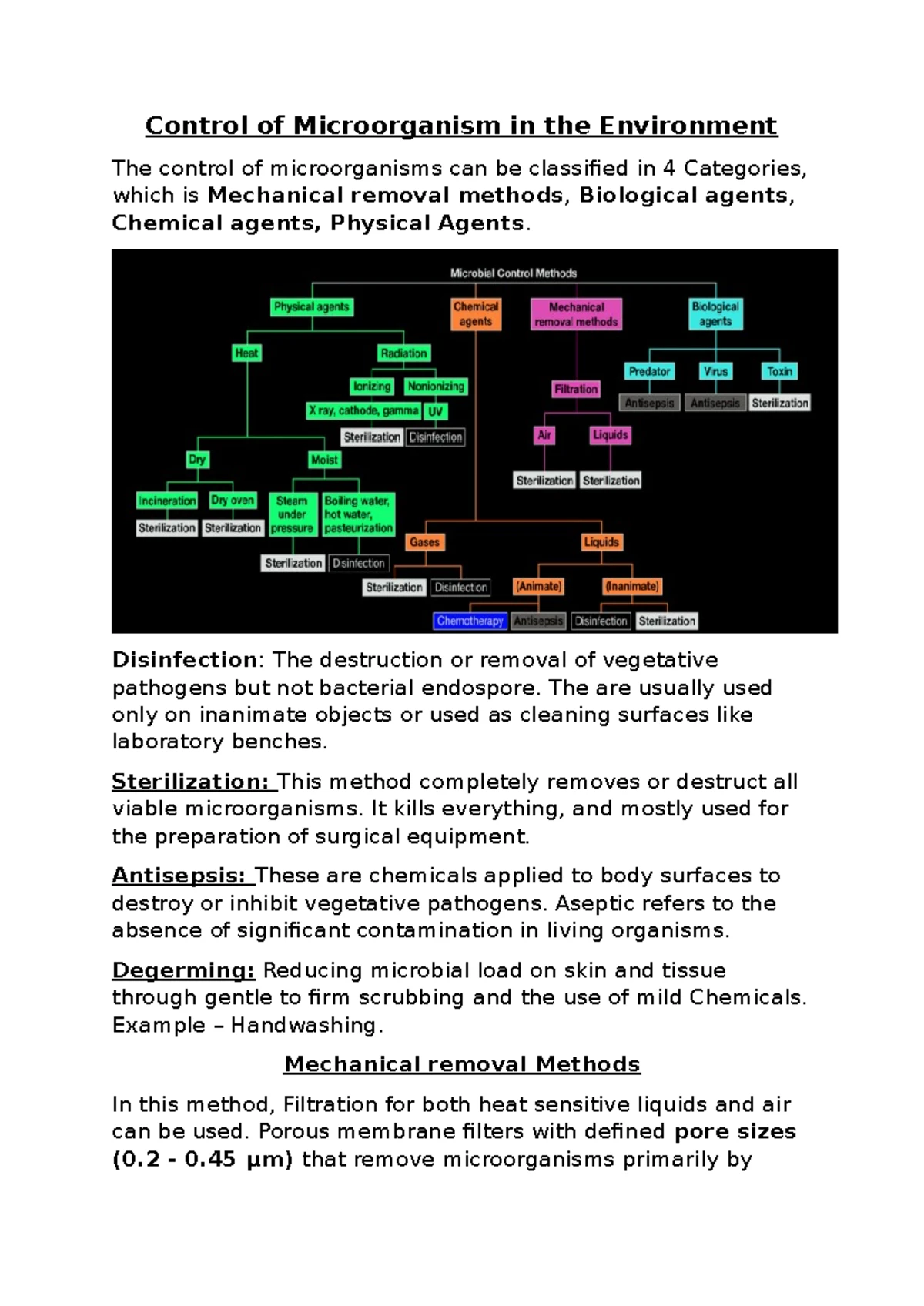 Microbiology Chapter 3: Bacterial Cell Organization & Function - Studocu