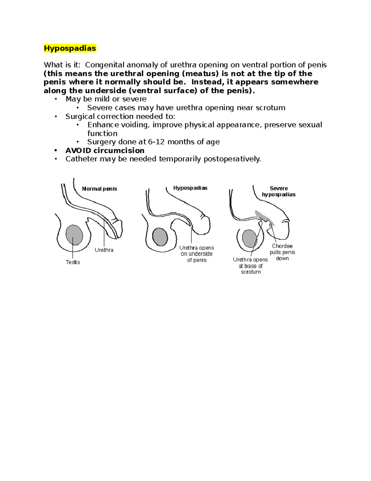 Figure 3 from Proximal hypospadias with small flat glans: the lateral-based  onlay flap technique. | Semantic Scholar, image size:1200x1553