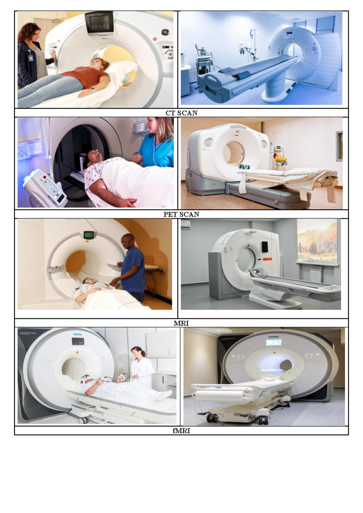 Imaging Techniques - Notes - Bsc zoology - CT SCAN PET SCAN MRI fMRI ...