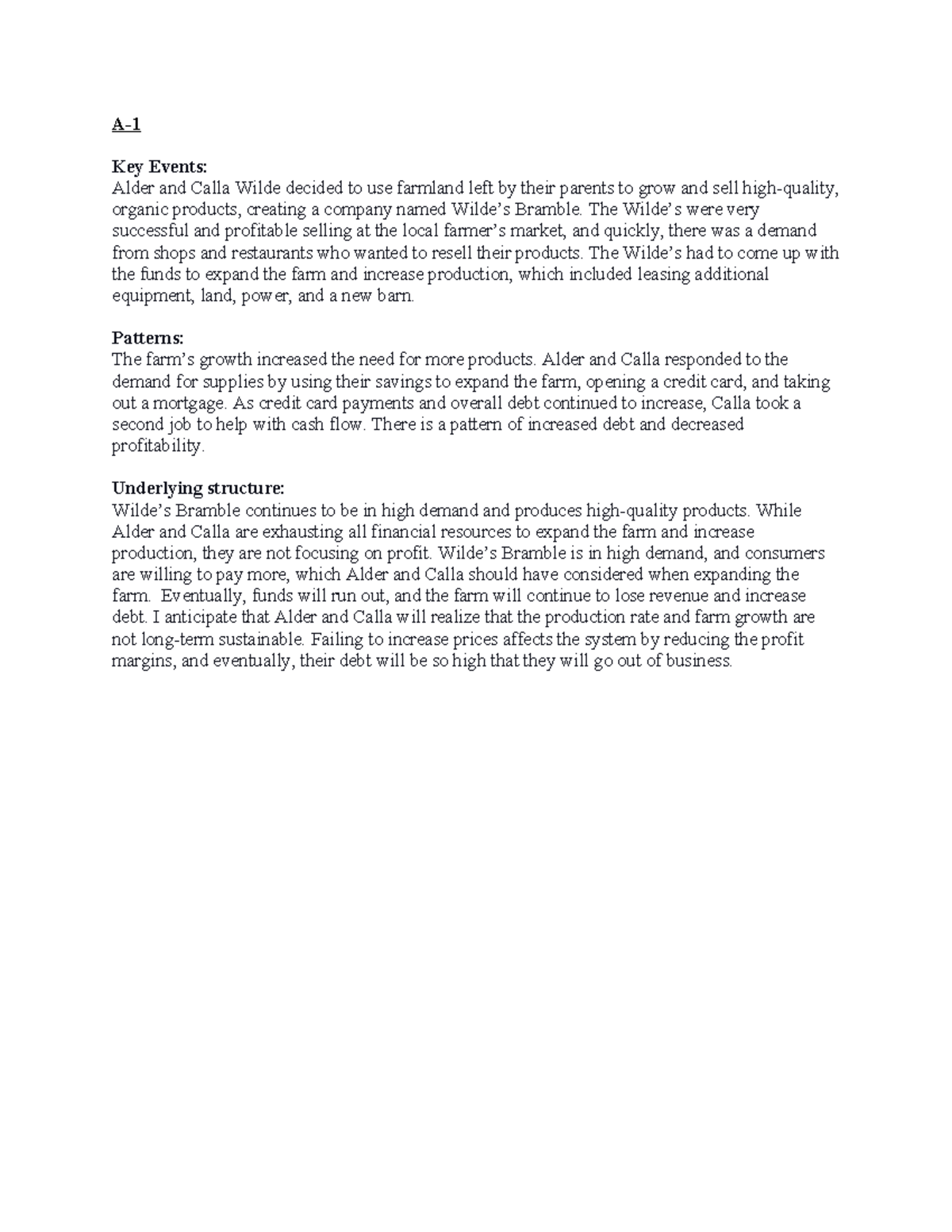 D458 Task 1 - Analysis of Bramble's Growth and Financial Challenges ...