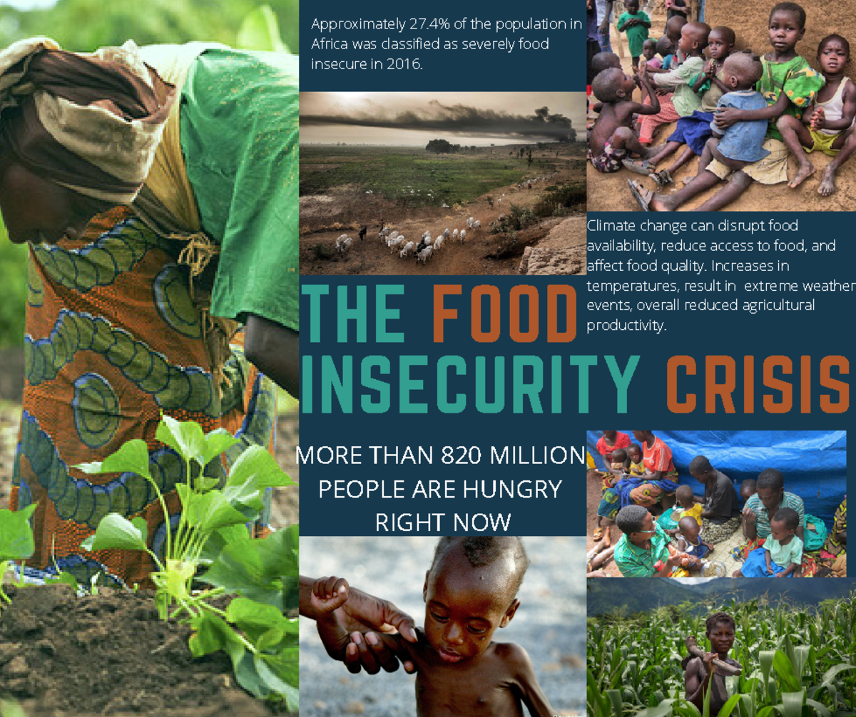 Food Insecurity Poster - THE FOOD INSECURITY CRISIS Approximately 27% ...