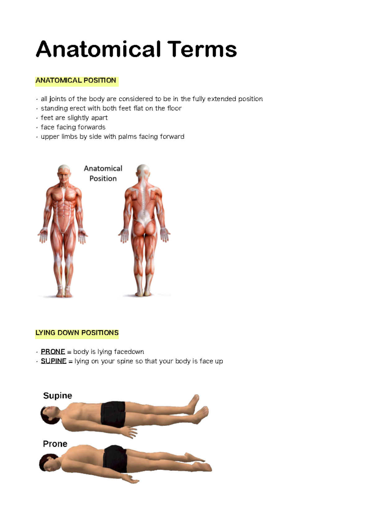 ANHB1101 - Comprehensive Lecture Notes Weeks 1-12 with Diagrams - Studocu