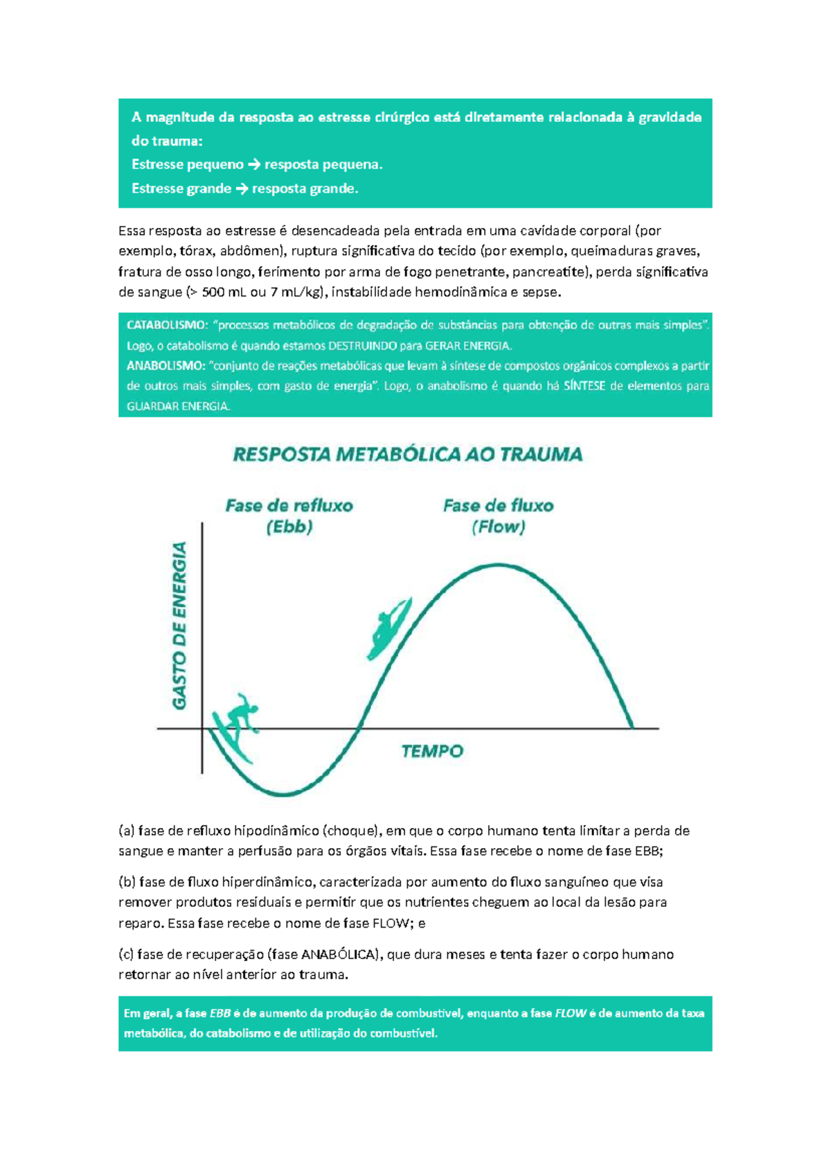 Resposta ao Estresse: Fases e Hormônios em Trauma (AAA) - Studocu
