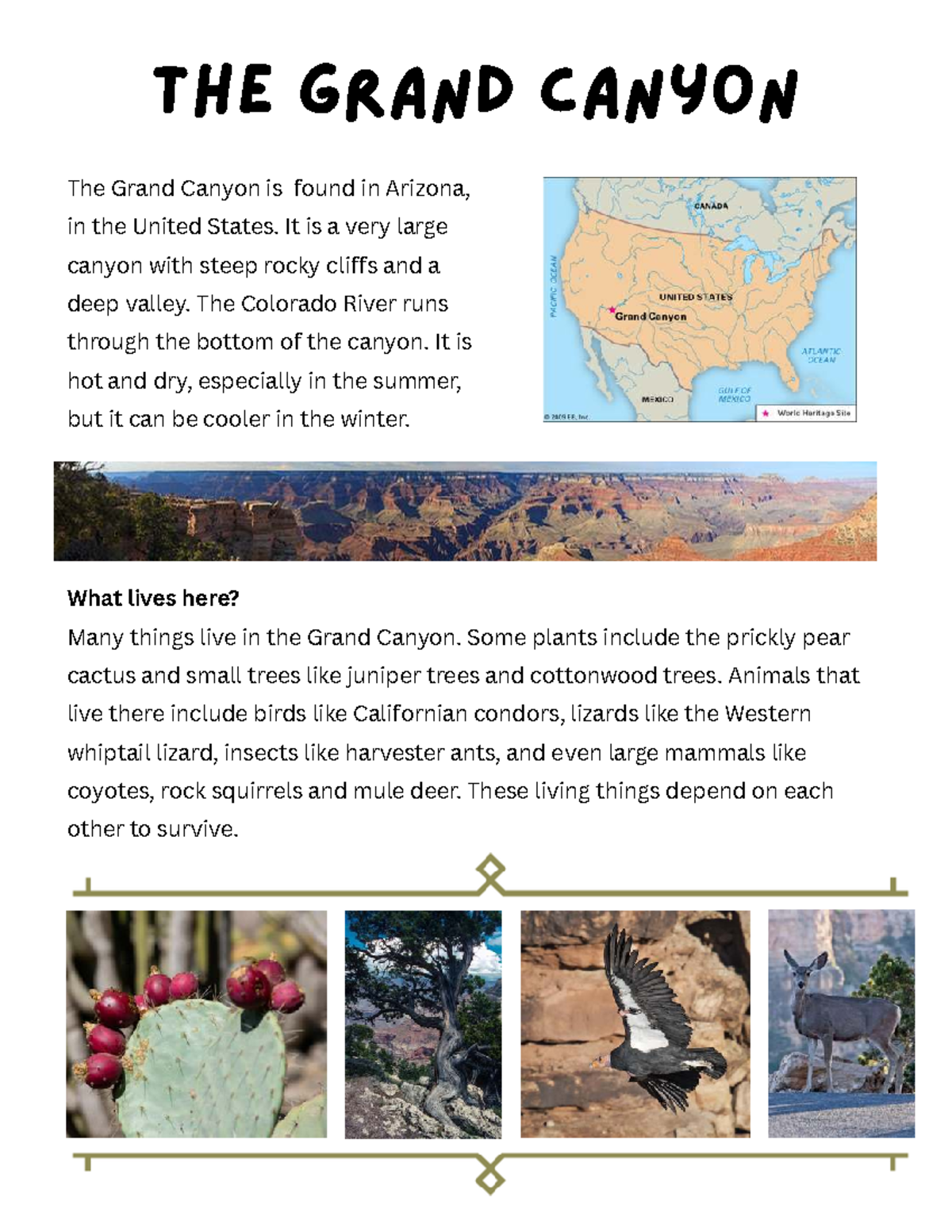 Ecology Fact Files: Exploring Ecosystems of the Grand Canyon, Outback ...
