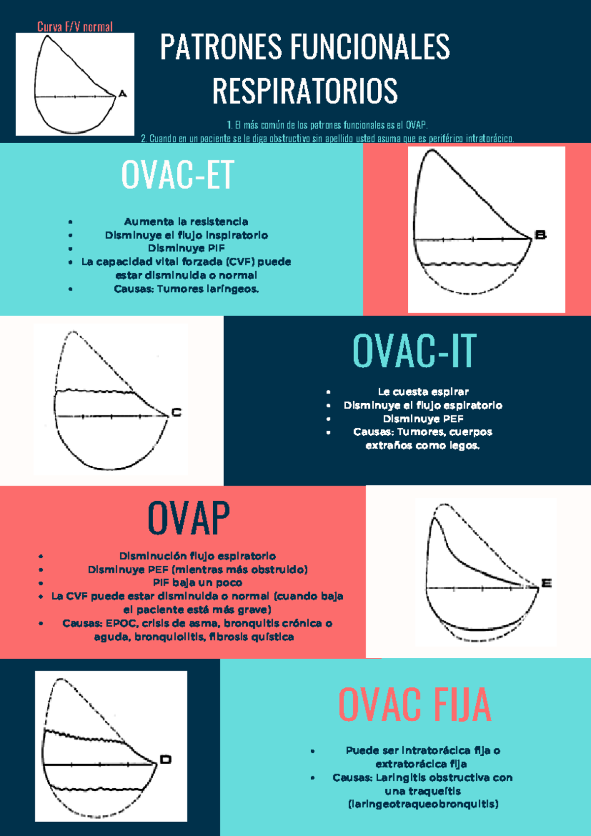 Patologías Respiratorias OVAC-ET y OVAC-IT: Resumen Clínico - Studocu