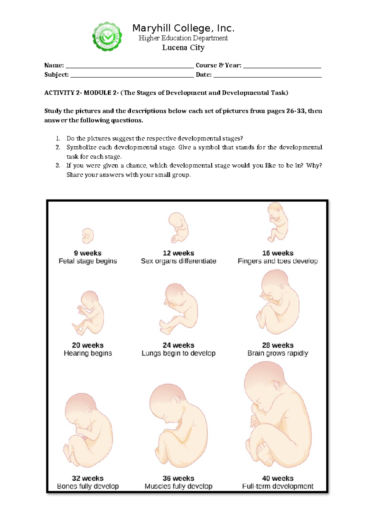 Activity Module: Stages of Development and Tasks (ACTIVITY MODULE ...